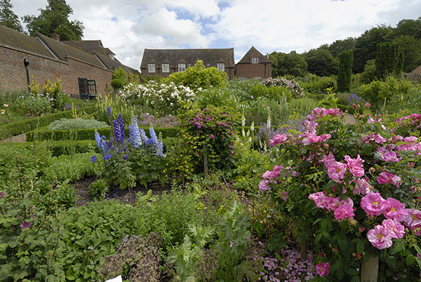 Garden in Kent