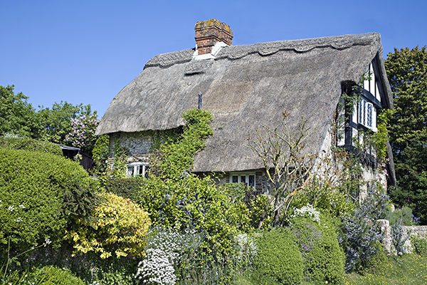 Cottage in Sussex